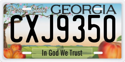 GA license plate CXJ9350