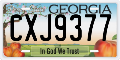 GA license plate CXJ9377