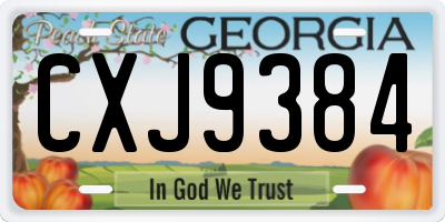 GA license plate CXJ9384