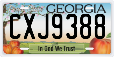 GA license plate CXJ9388