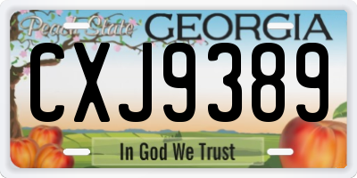 GA license plate CXJ9389