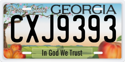 GA license plate CXJ9393