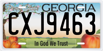 GA license plate CXJ9463