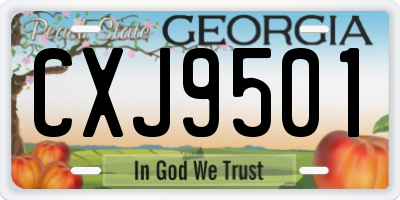 GA license plate CXJ9501