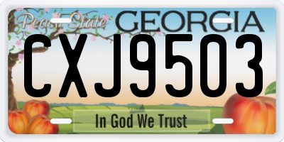 GA license plate CXJ9503