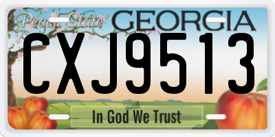 GA license plate CXJ9513