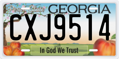 GA license plate CXJ9514