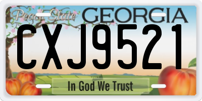GA license plate CXJ9521