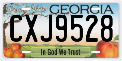GA license plate CXJ9528
