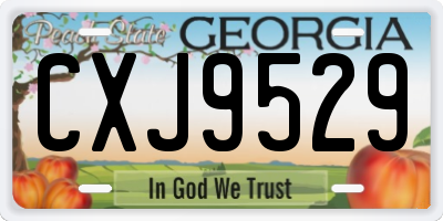 GA license plate CXJ9529