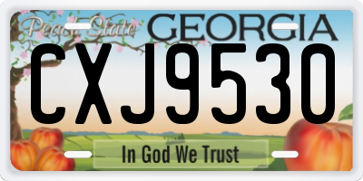 GA license plate CXJ9530