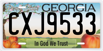 GA license plate CXJ9533
