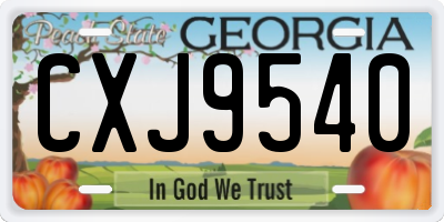 GA license plate CXJ9540