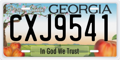 GA license plate CXJ9541
