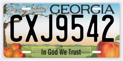 GA license plate CXJ9542