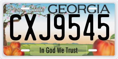 GA license plate CXJ9545