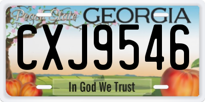 GA license plate CXJ9546