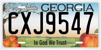GA license plate CXJ9547
