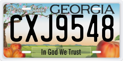 GA license plate CXJ9548