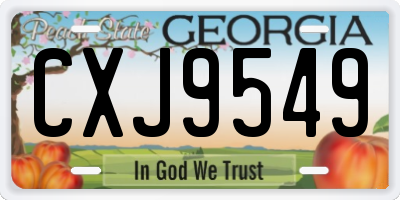 GA license plate CXJ9549