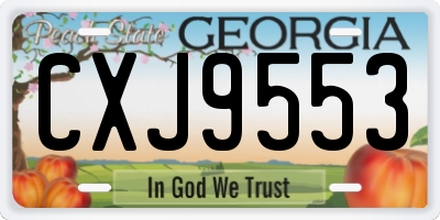 GA license plate CXJ9553