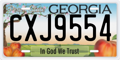 GA license plate CXJ9554