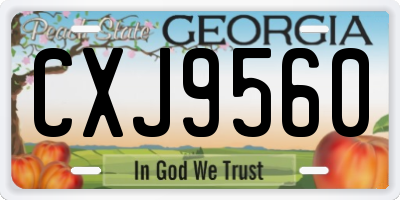 GA license plate CXJ9560