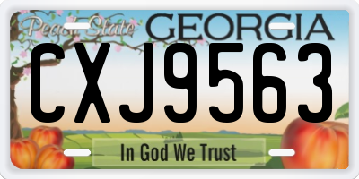 GA license plate CXJ9563
