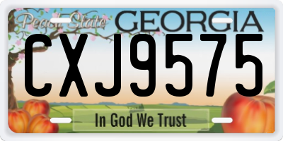 GA license plate CXJ9575