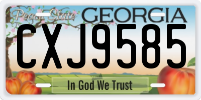 GA license plate CXJ9585