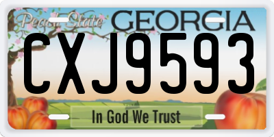 GA license plate CXJ9593