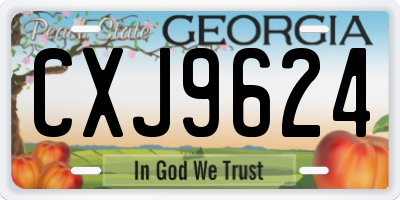 GA license plate CXJ9624