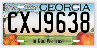 GA license plate CXJ9638