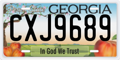 GA license plate CXJ9689