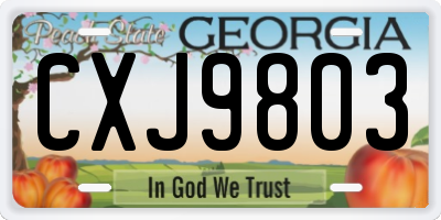 GA license plate CXJ9803