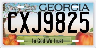GA license plate CXJ9825