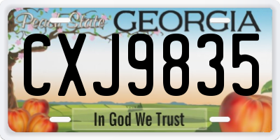 GA license plate CXJ9835