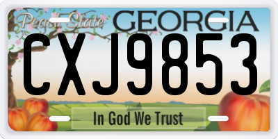 GA license plate CXJ9853
