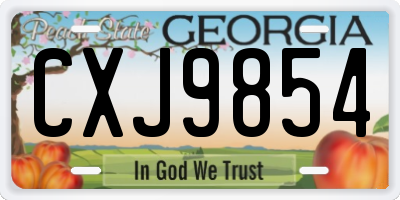 GA license plate CXJ9854