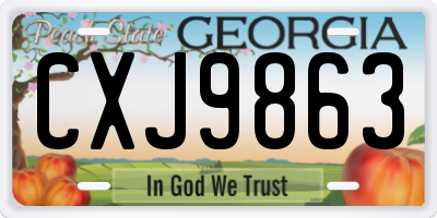 GA license plate CXJ9863