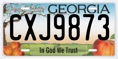 GA license plate CXJ9873