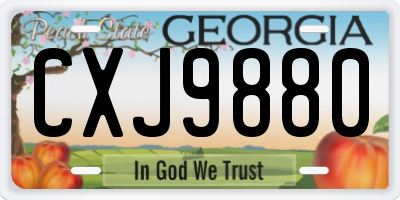 GA license plate CXJ9880
