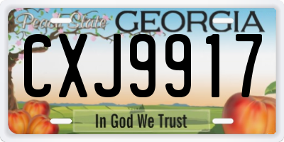 GA license plate CXJ9917