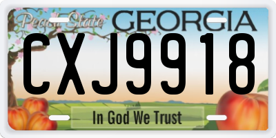 GA license plate CXJ9918