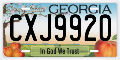 GA license plate CXJ9920