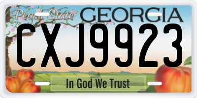 GA license plate CXJ9923