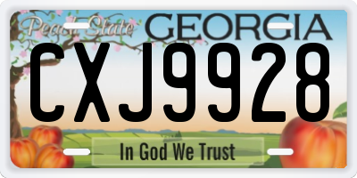 GA license plate CXJ9928