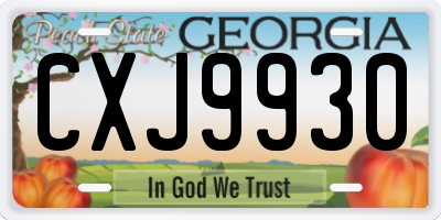 GA license plate CXJ9930