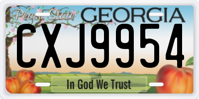 GA license plate CXJ9954