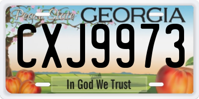 GA license plate CXJ9973